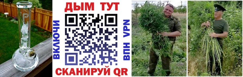 Шишки марихуана Ganja  цена наркотик  Щёлкино 